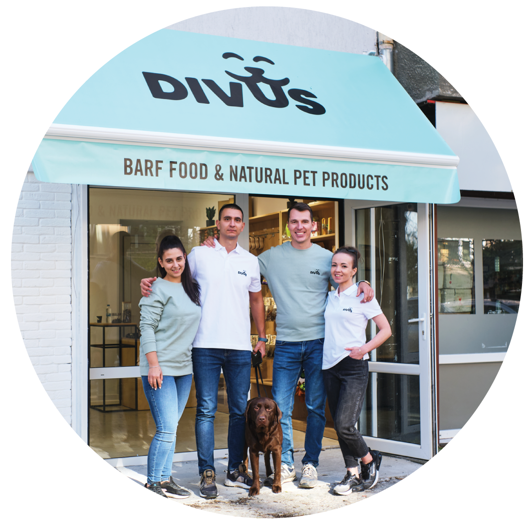 divus store homepage