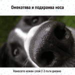 Mехлем за лапи и нос - Image 4