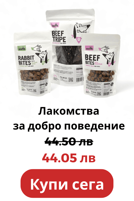 Край на унищожените мебели! 11 image 100