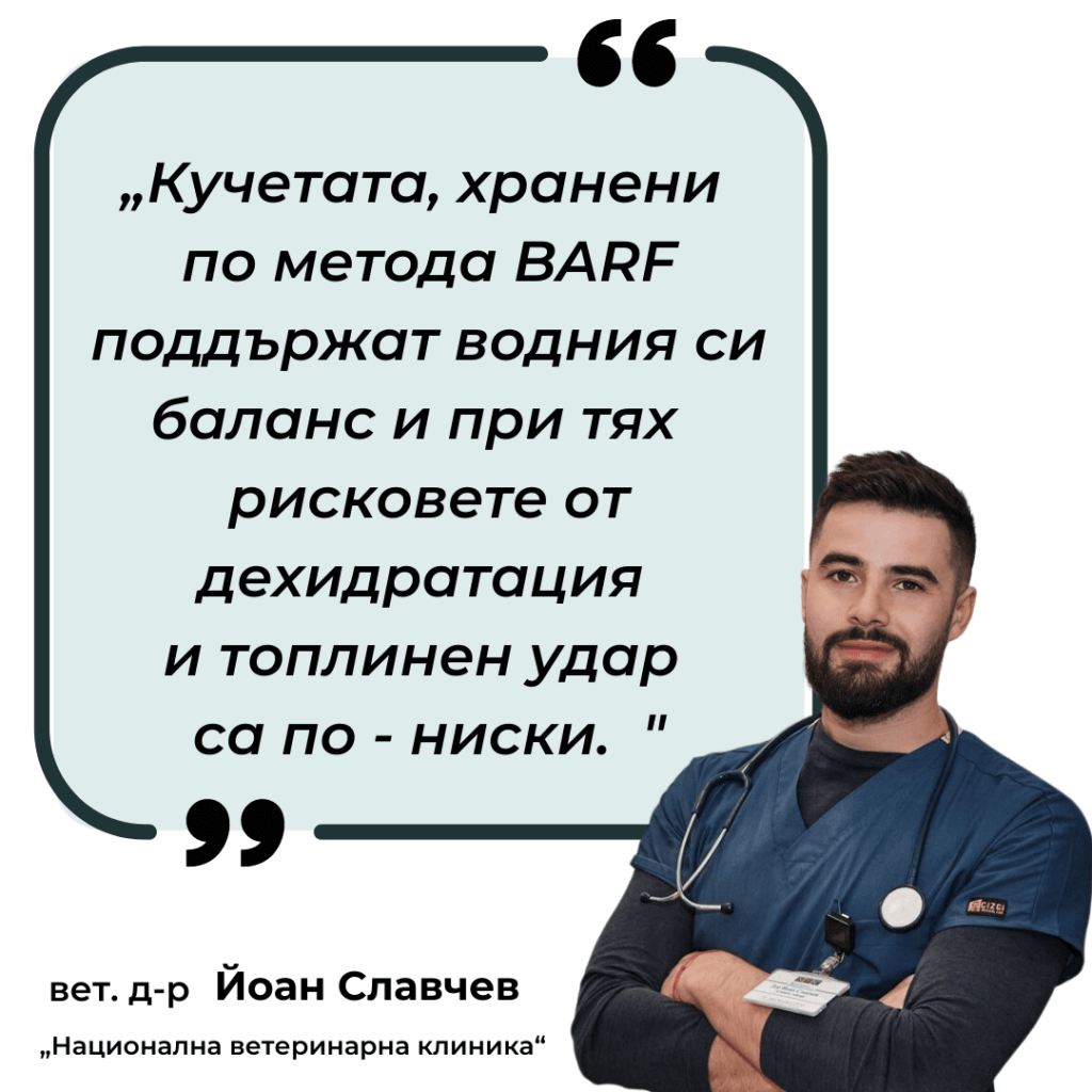 Как да охлаждаш твоето куче през лятото? 13 image 65