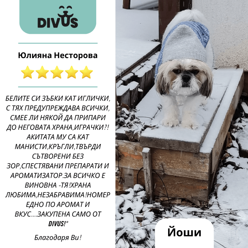 Как да подобрим поведението на кучето като променим диетата му? 12 image 93