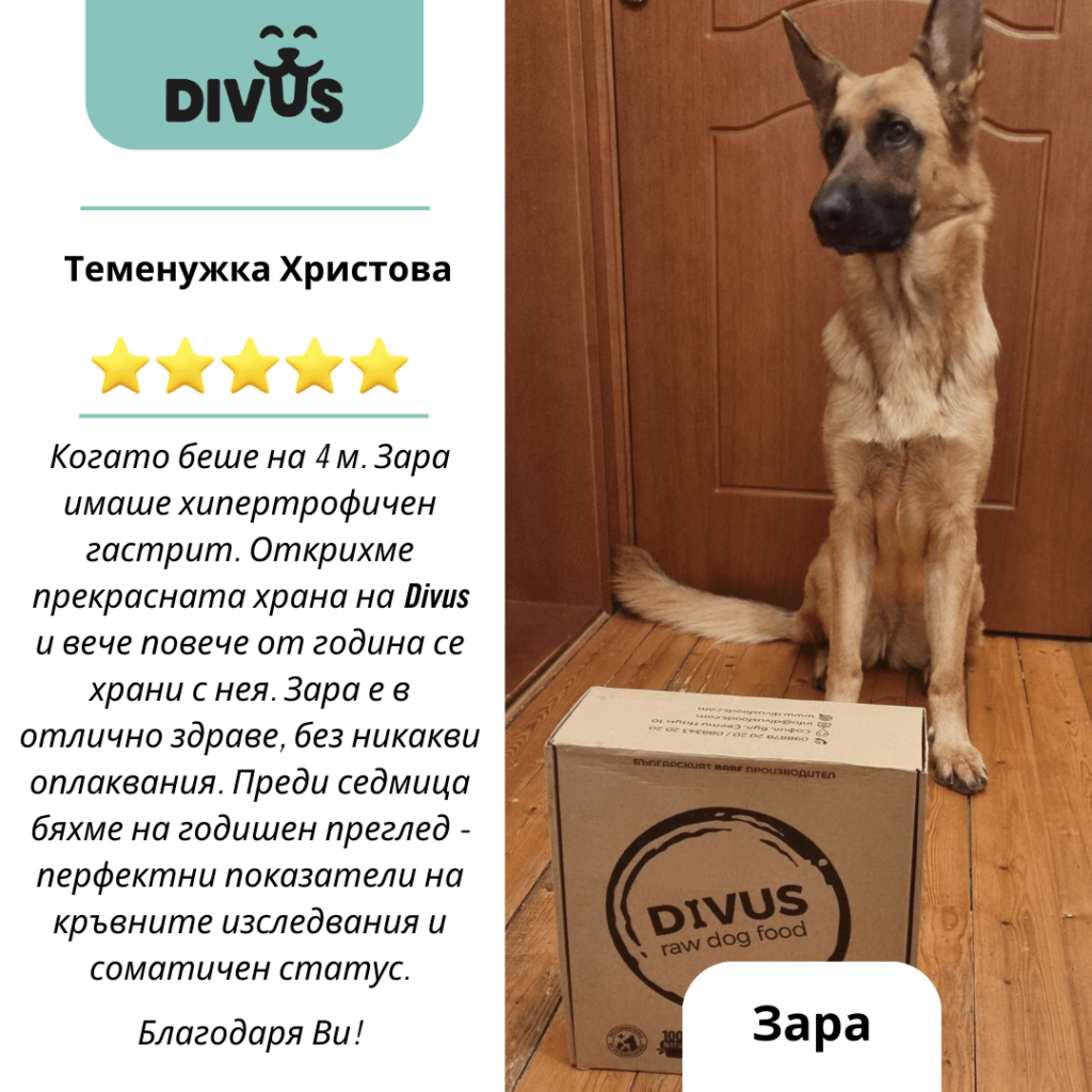 Как да подобрим поведението на кучето като променим диетата му? 13 image 94