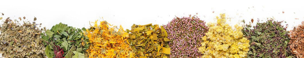 medicinal plants bunches piles medicinal herbs white background alternative medsicine 629370 256