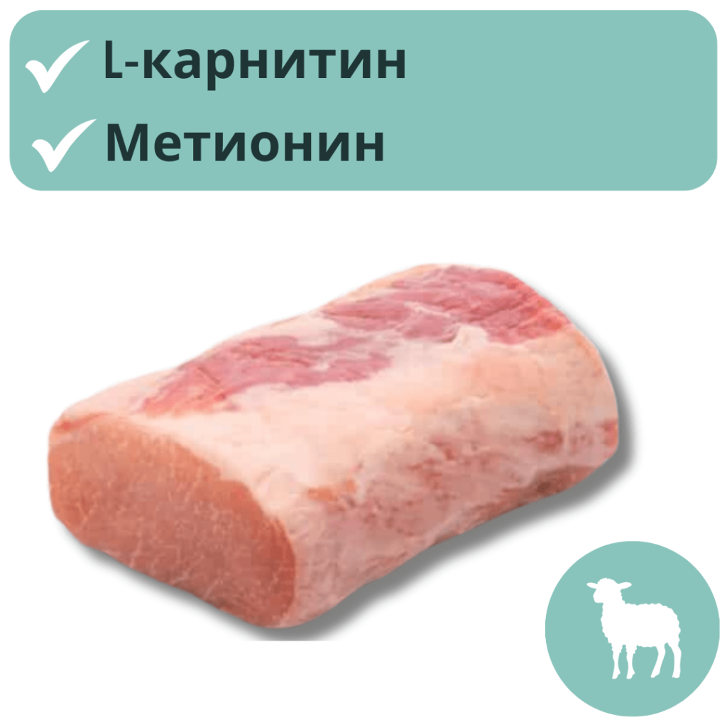 Как да подобрим поведението на кучето като променим диетата му? 7 untitled 1080 x 1080 px 2024 02 15t095555 735