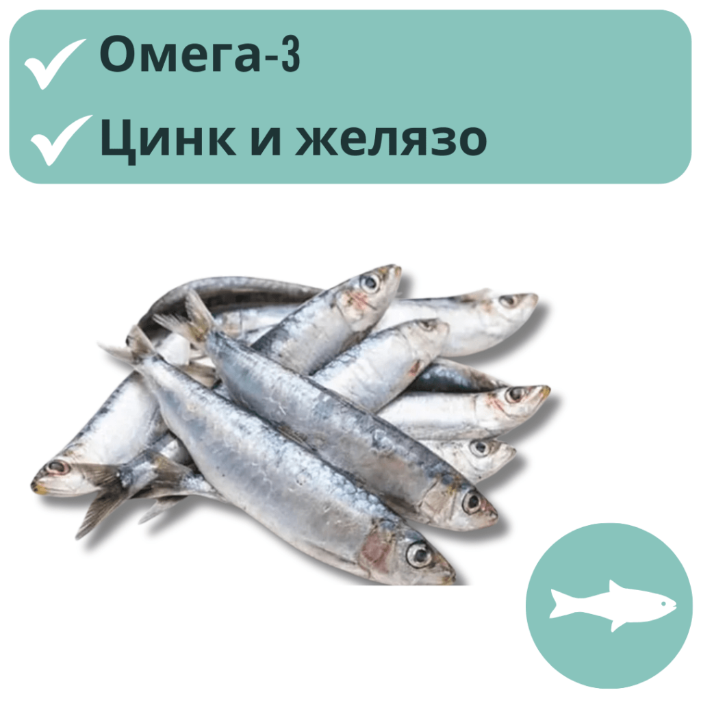 Как да подобрим поведението на кучето като променим диетата му? 9 untitled 1080 x 1080 px 2024 02 15t100843 010