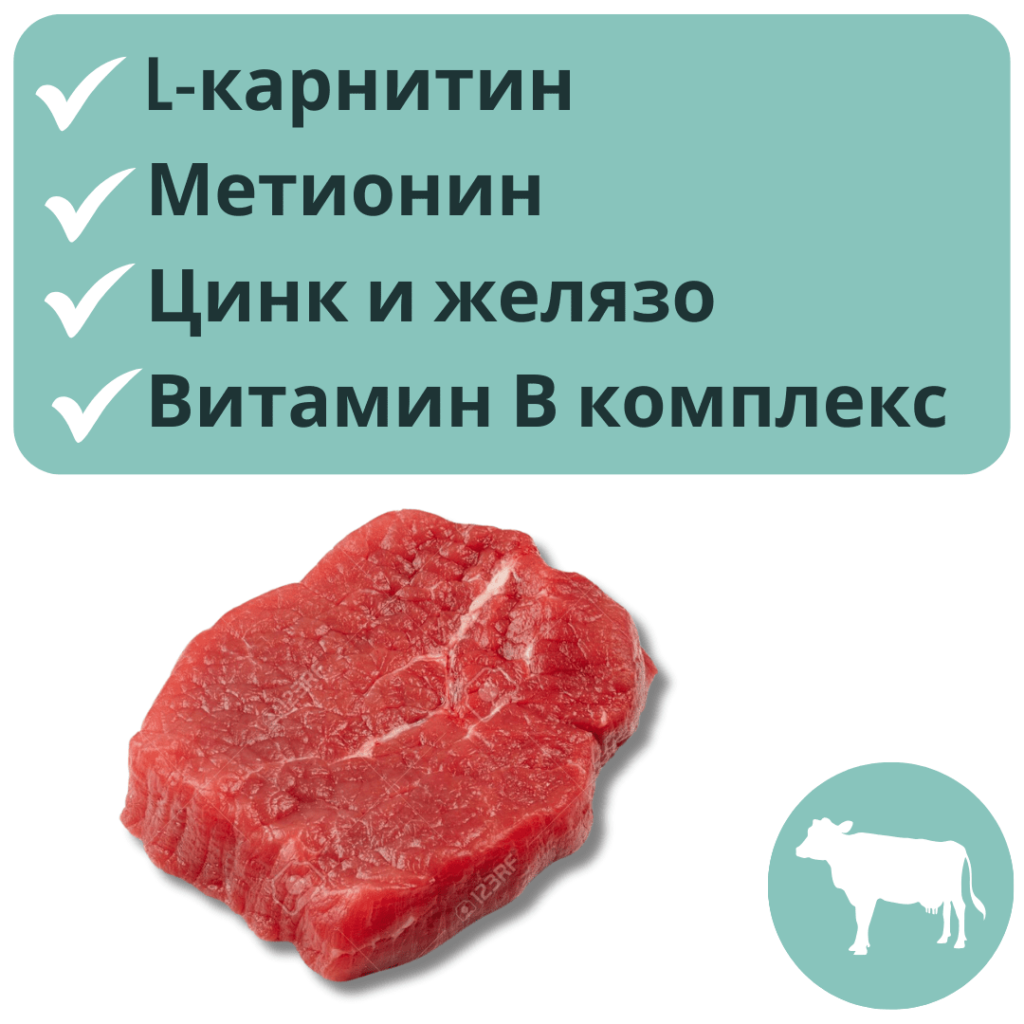 Как да подобрим поведението на кучето като променим диетата му? 4 untitled 1080 x 1080 px 2024 02 15t100905 814