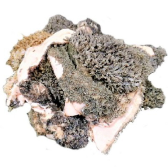 ingredient image 7