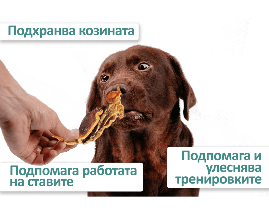 Дехидратирани глави на октопод 7 2 669ab130e2646