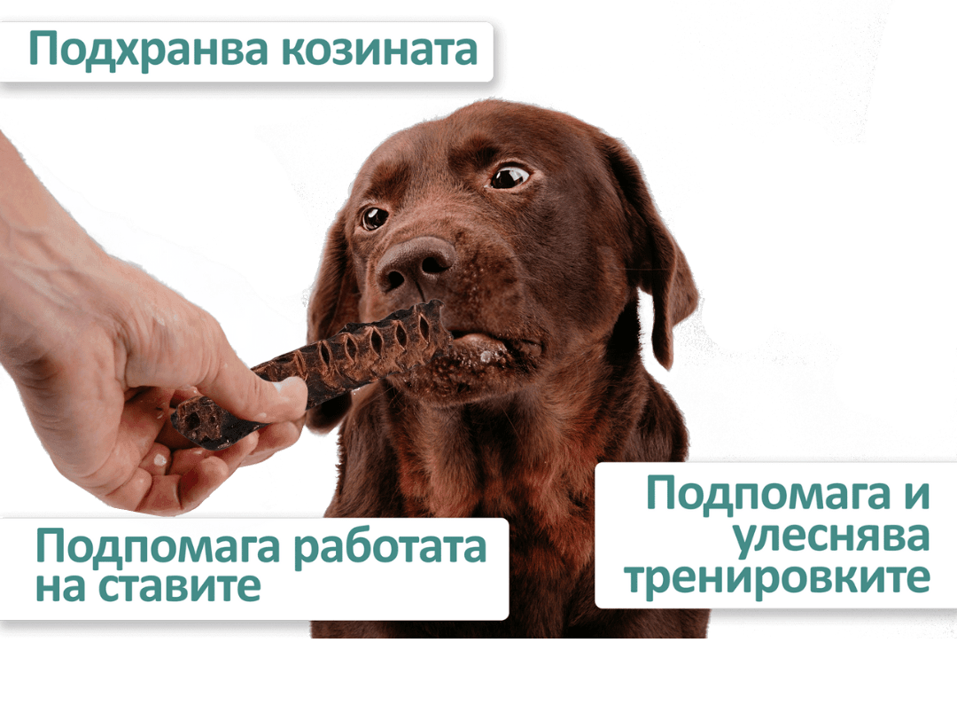 3 669f6adf32505