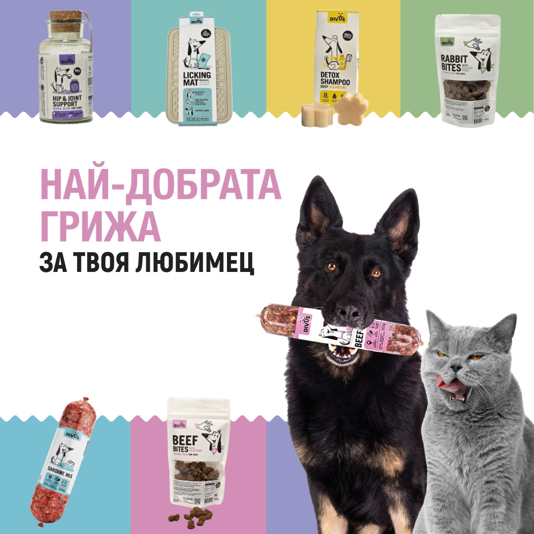 d r joan slavchev 1x1 1