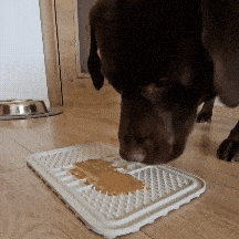 Куче, което облизва LickingMat