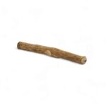 Coffee tree chewing stick - Image 2