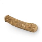 Coffee tree chewing stick