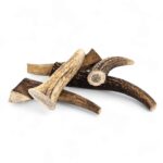Whole deer horn for chewing - Image 4