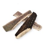 Part of a deer horn for chewing - Image 2