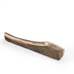 Part of a deer horn for chewing