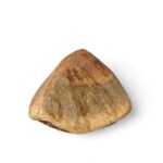 Briard root - Image 2