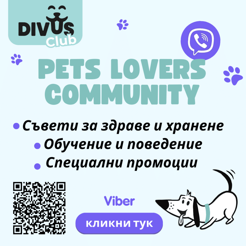 Viber design 1