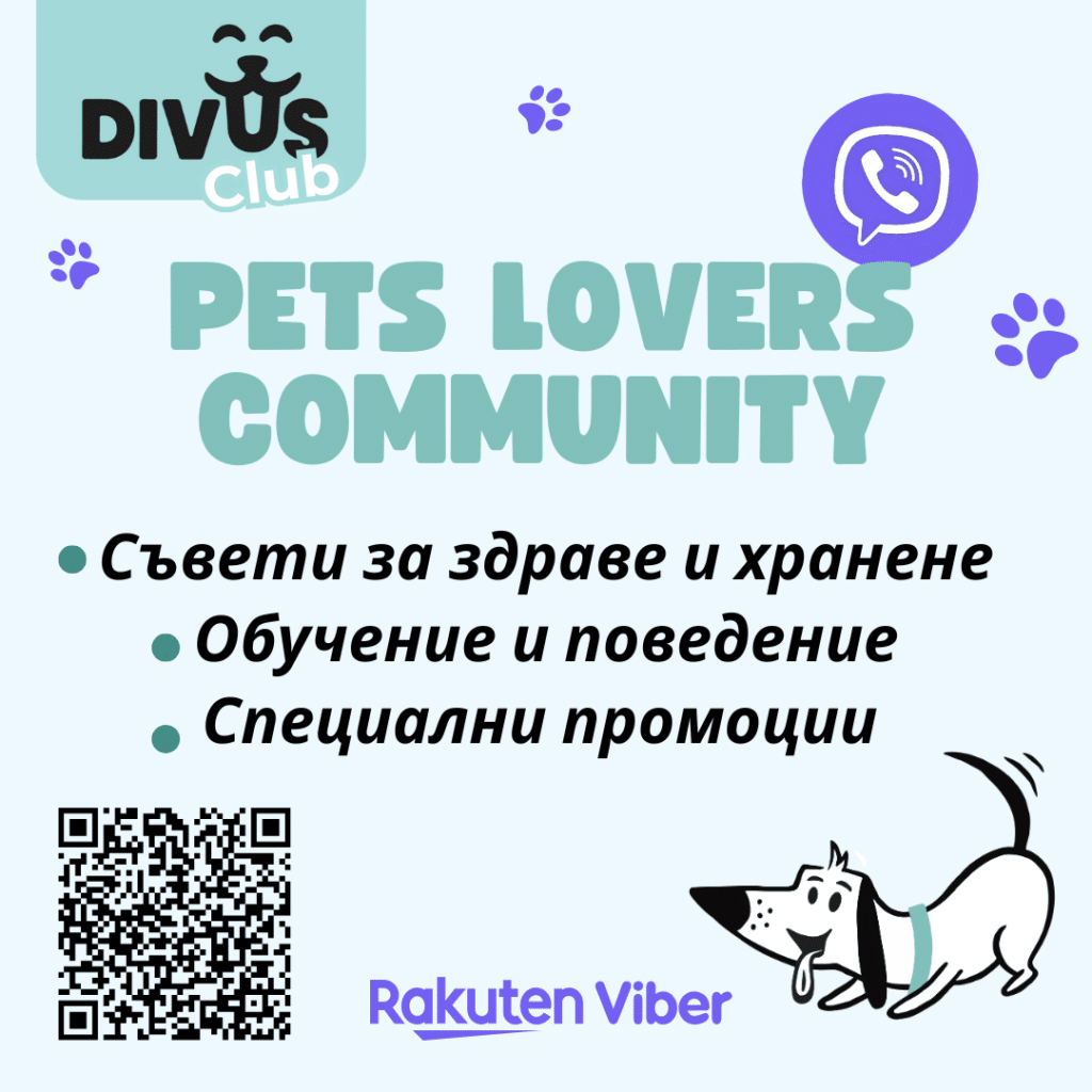 Viber design