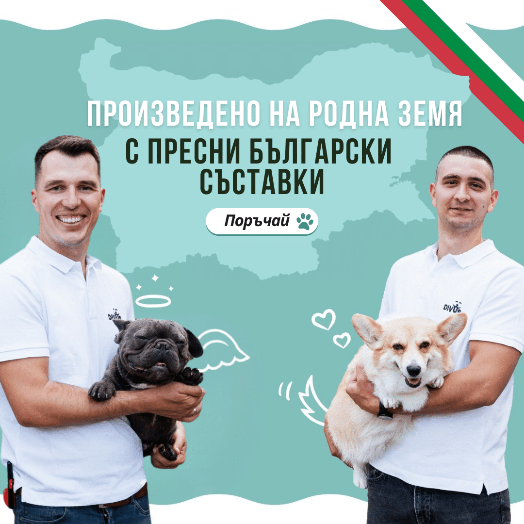 Bulgarian English