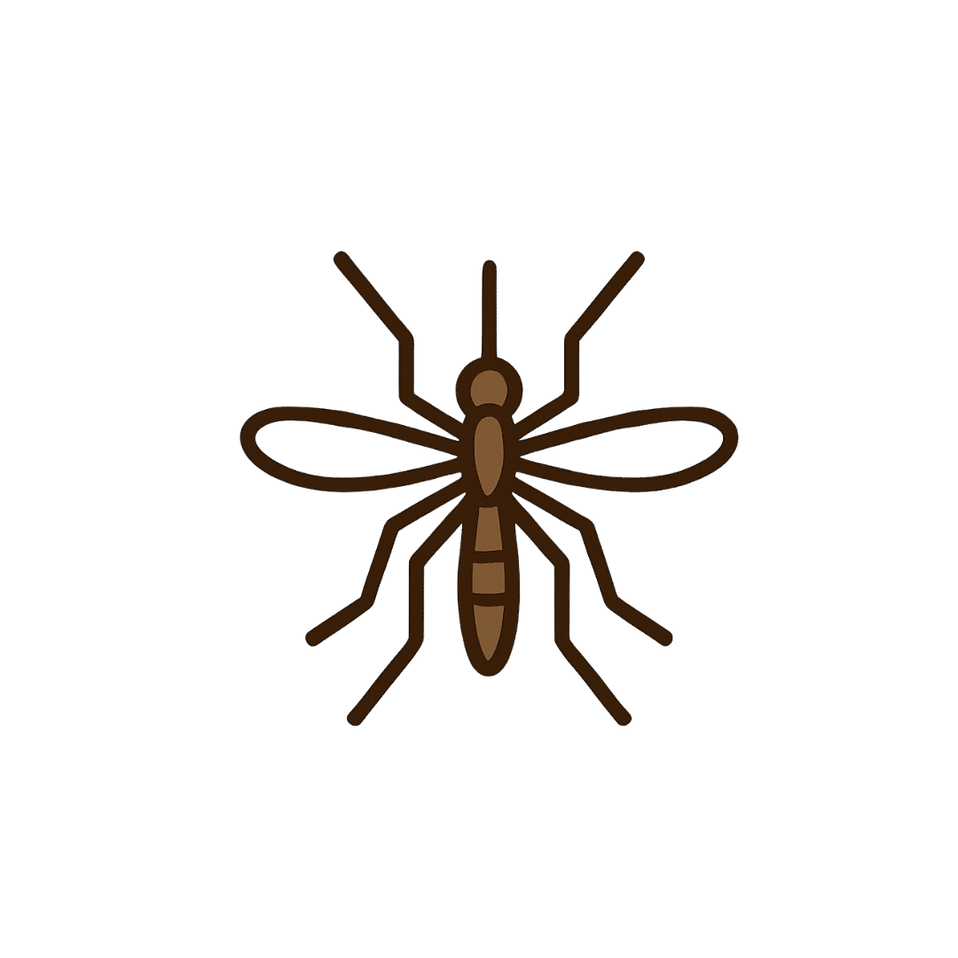 Mosquito