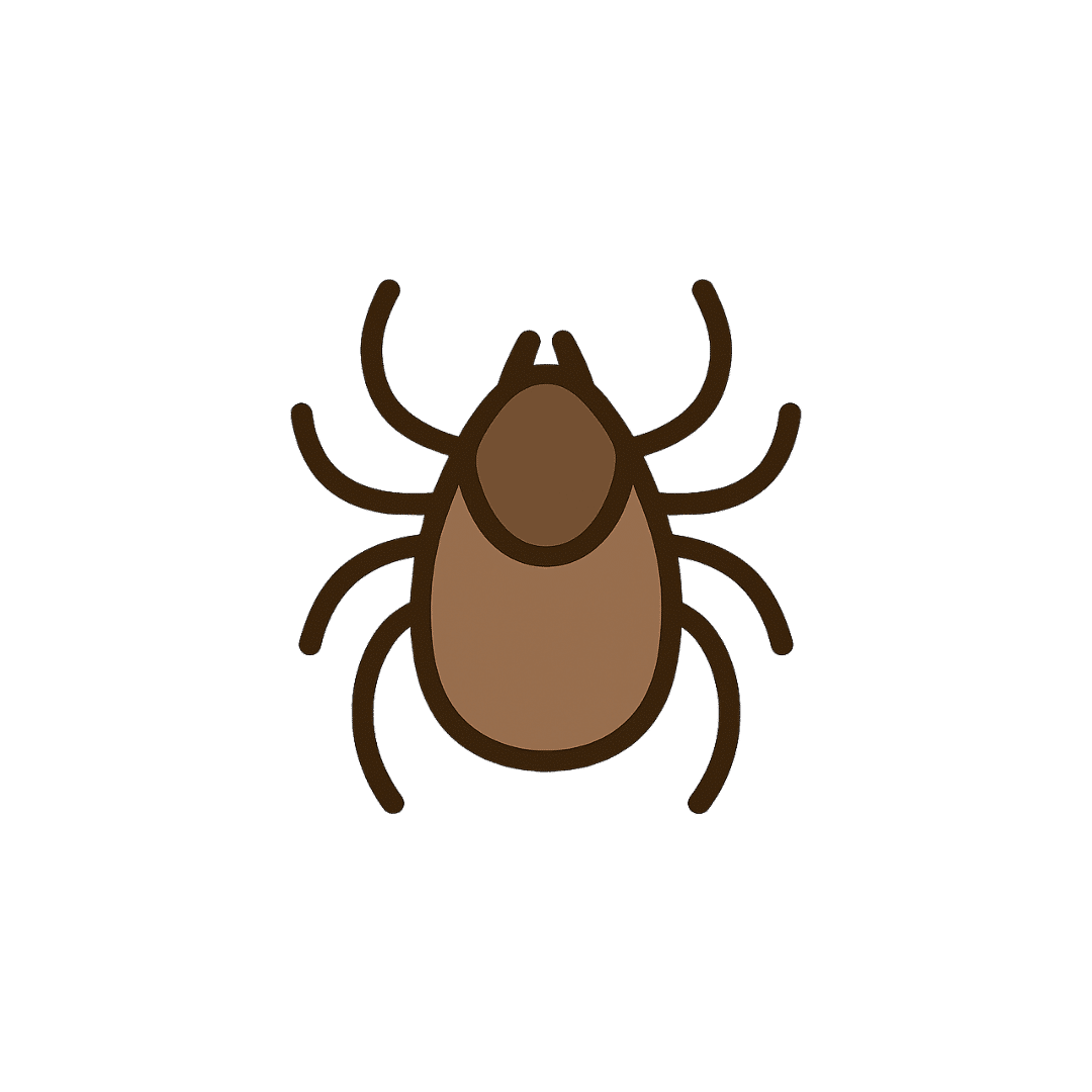 Mite
