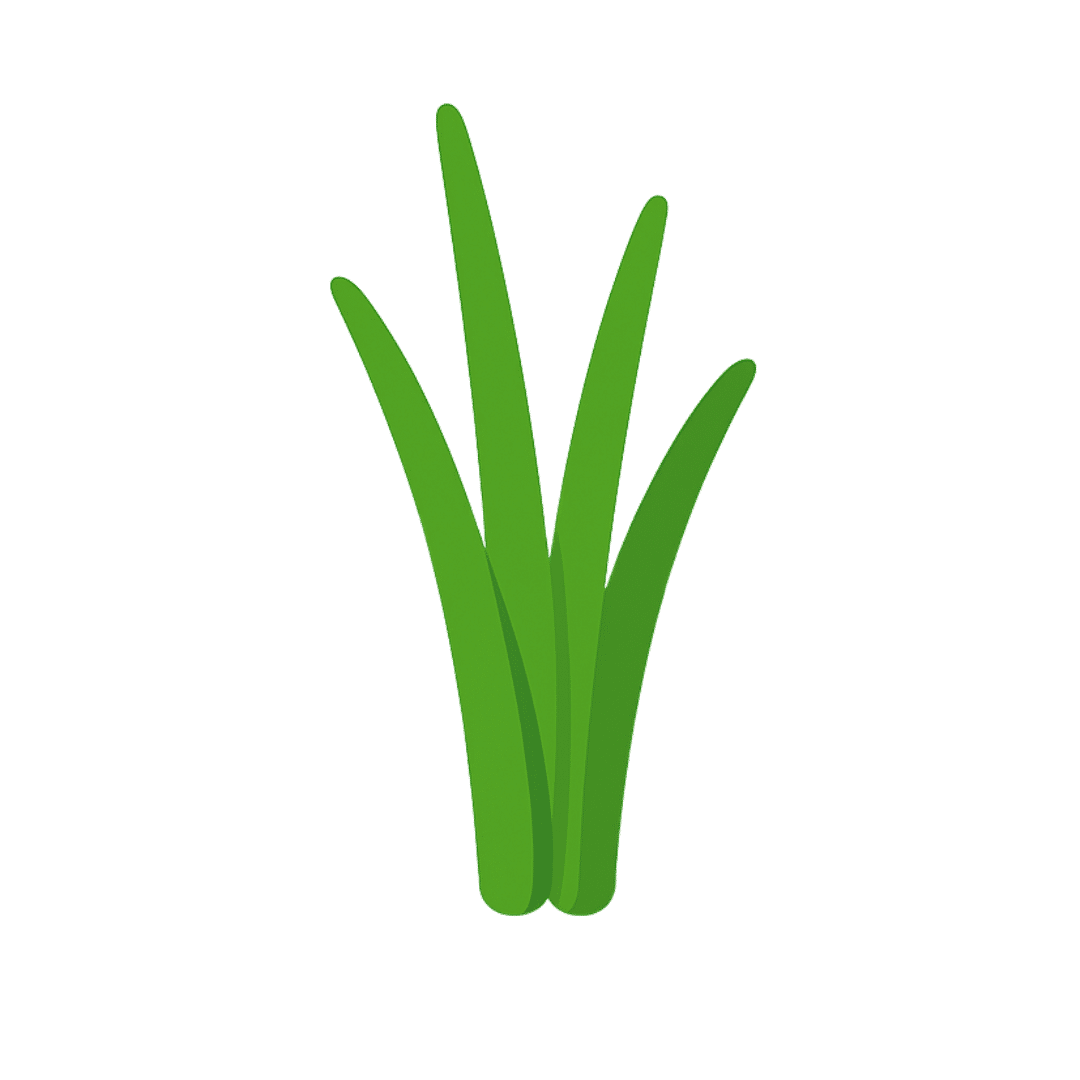 Lemongrass
