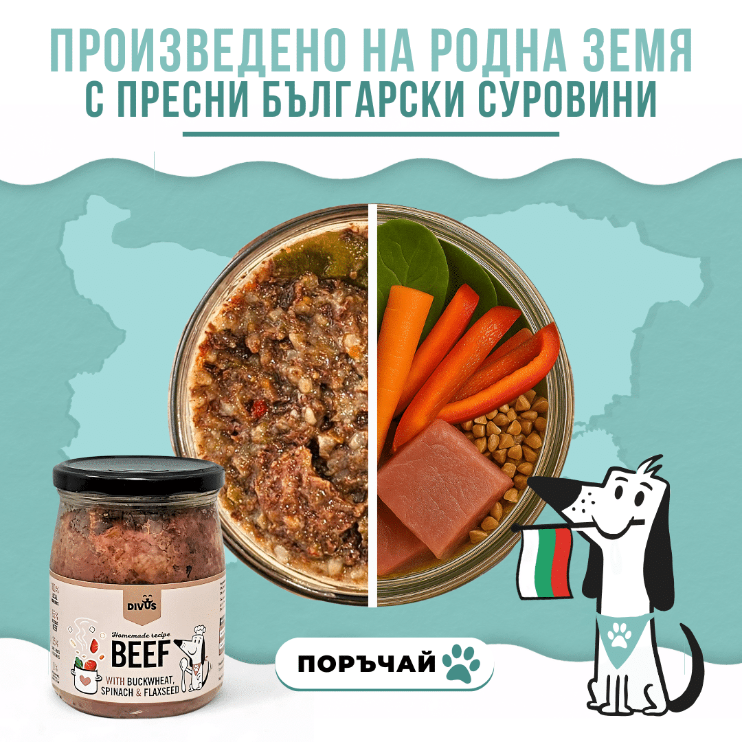 готвена храна за кучета x s