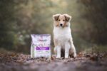 YDOLO Puppy Пълноценна Формула за подрастващи - Image 6
