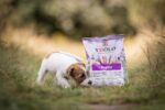 YDOLO Puppy Пълноценна Формула за подрастващи - Image 7