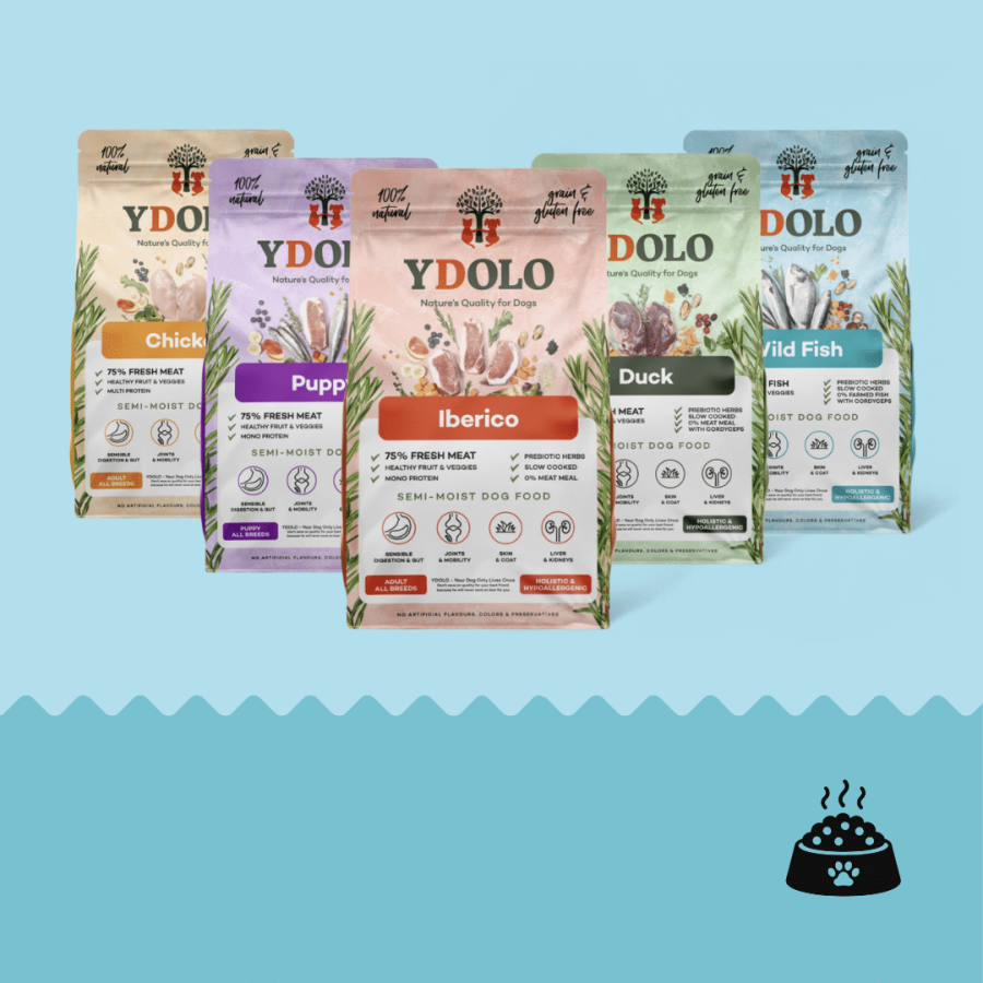 ydolo dogfood 1